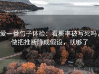 爱一番句子体检：看概率被写死吗，做把推断降成假设，就够了