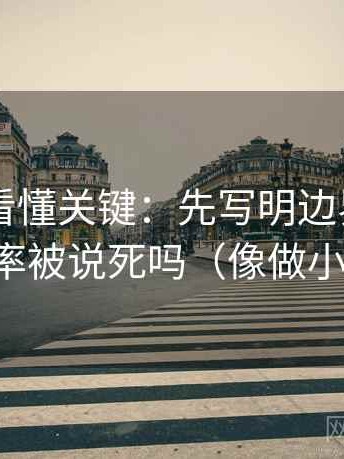 菠萝TV看懂关键：先写明边界，再对照概率被说死吗（像做小流程）