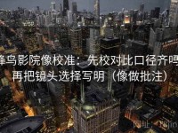 蜂鸟影院像校准：先校对比口径齐吗，再把镜头选择写明（像做批注）