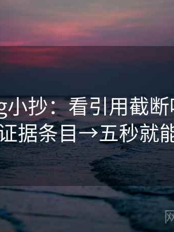 糖心Vlog小抄：看引用截断吗→做列出证据条目→五秒就能做