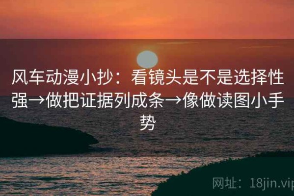 风车动漫小抄：看镜头是不是选择性强→做把证据列成条→像做读图小手势